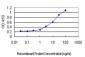 TAF7 Antibody (monoclonal) (M01)