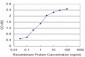 TAF7 Antibody (monoclonal) (M02)