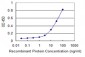 TAGLN Antibody (monoclonal) (M01)