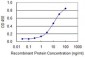 TARDBP Antibody (monoclonal) (M01)