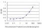 TAZ Antibody (monoclonal) (M20)