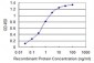 TBL1XR1 Antibody (monoclonal) (M01)