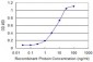 TBX21 Antibody (monoclonal) (M07)