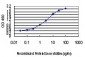 TBX3 Antibody (monoclonal) (M02)