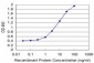 TBX6 Antibody (monoclonal) (M08)