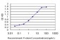 TCEB2 Antibody (monoclonal) (M01)