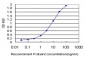 TCF19 Antibody (monoclonal) (M01)