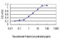 TCF3 Antibody (monoclonal) (M01)