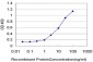 TCF4 Antibody (monoclonal) (M03)