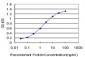 TCF7L2 Antibody (monoclonal) (M05)