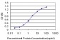 TCF7L2 Antibody (monoclonal) (M06)