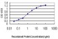 TCFL5 Antibody (monoclonal) (M01)