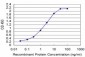 TCL1A Antibody (monoclonal) (M12)