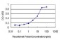 TCP1 Antibody (monoclonal) (M01)