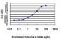 TEAD4 Antibody (monoclonal) (M01)