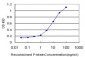 TEK Antibody (monoclonal) (M02)