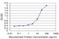 TESK2 Antibody (monoclonal) (M02)