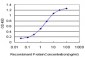 TFAP4 Antibody (monoclonal) (M01)