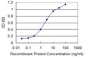 TFEC Antibody (monoclonal) (M08)