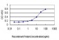 TGIF2 Antibody (monoclonal) (M01)