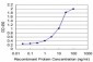 TGIF2 Antibody (monoclonal) (M06)