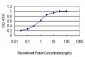 TIAM2 Antibody (monoclonal) (M01)