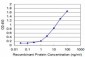 TLR5 Antibody (monoclonal) (M03)