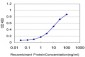 TLR5 Antibody (monoclonal) (M07)