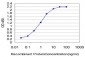 TLX3 Antibody (monoclonal) (M01)