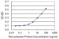 TNFRSF10B Antibody (monoclonal) (M01)