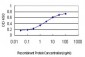 TNFSF12 Antibody (monoclonal) (M01)