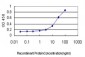 TNFSF14 Antibody (monoclonal) (M01)