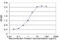 TNKS Antibody (monoclonal) (M01)