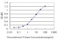 TOM1 Antibody (monoclonal) (M01)