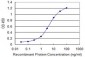 TOMM22 Antibody (monoclonal) (M01)