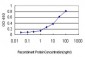 TOP1 Antibody (monoclonal) (M01)