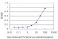 TP53 Antibody (monoclonal) (M01)