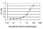 TP53BP1 Antibody (monoclonal) (M01)