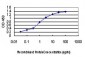 TP53RK Antibody (monoclonal) (M02)