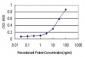 TP73L Antibody (monoclonal) (M01)