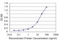 TPMT Antibody (monoclonal) (M02)
