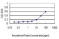 TPP1 Antibody (monoclonal) (M01)