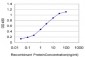 TRIM35 Antibody (monoclonal) (M02)