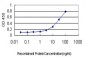 TRIM36 Antibody (monoclonal) (M01)