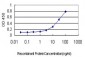 TRIM36 Antibody (monoclonal) (M01)