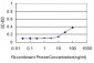 TSPAN8 Antibody (monoclonal) (M02)