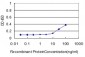 TSPAN8 Antibody (monoclonal) (M02)