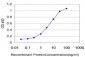 TTR Antibody (monoclonal) (M01)