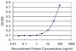 TUBA2 Antibody (monoclonal) (M01)