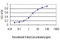 TUBB2 Antibody (monoclonal) (M01)